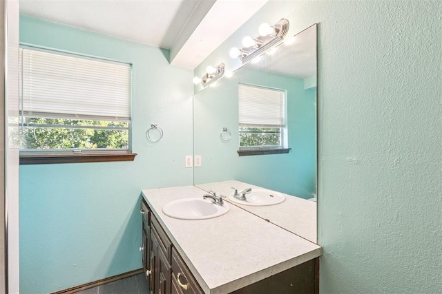 3513 Terry Way, Del City, OK 73115 - bathroom with vanity, plenty of natural light, and a textured wall