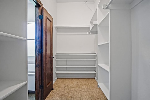 917 Erinova Dr, Yukon, OK 73099 - walk in closet featuring carpet flooring