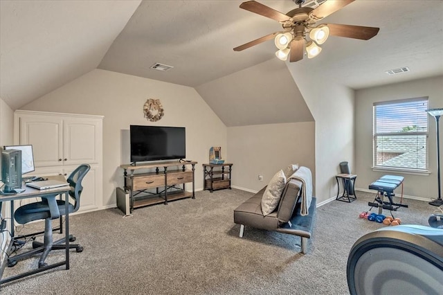 1716 NW 182nd St, Edmond, OK 73012 - exercise room with carpet floors, a ceiling fan, and vaulted ceiling
