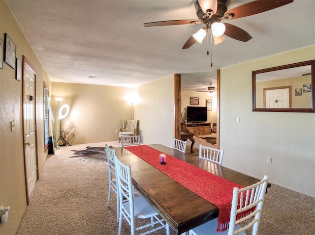 49408 River Rd, Earlsboro, OK 74840 - photo 9