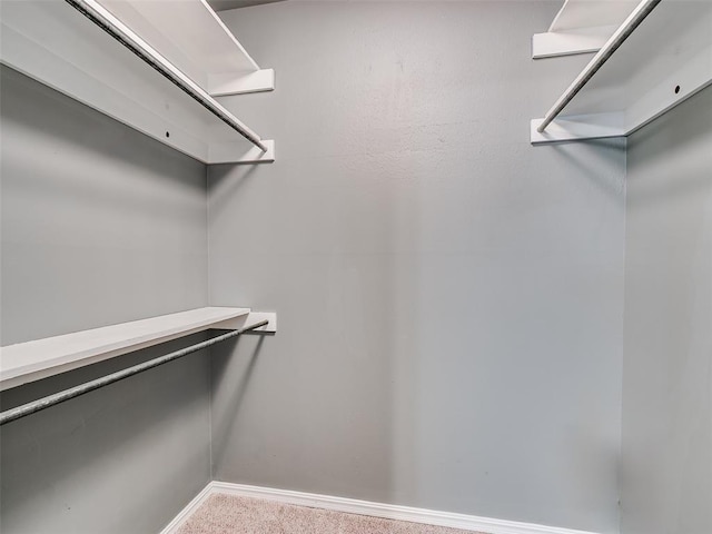1917 Barryton Rd, Oklahoma City, OK 73120 - walk in closet featuring carpet floors