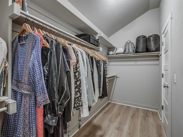 3903 Painted Bird Ln, Norman, OK 73071 - walk in closet with wood finished floors and lofted ceiling