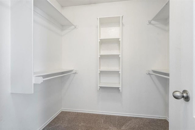 11829 NW 133rd St, Piedmont, OK 73078 - walk in closet featuring carpet floors