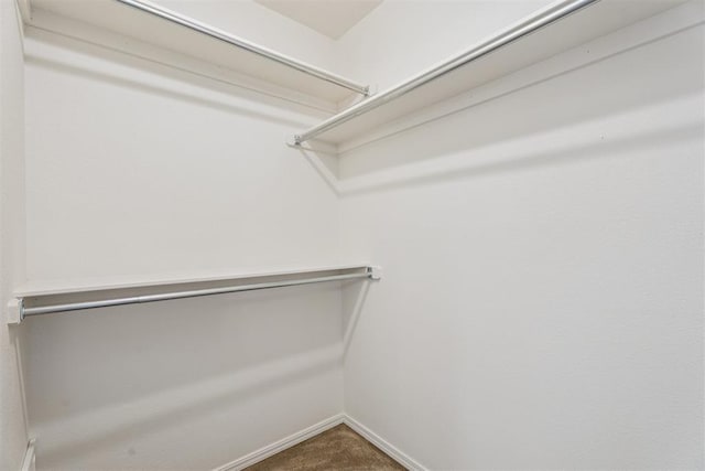 8317 NW 105th St, Oklahoma City, OK 73162 - spacious closet featuring carpet floors