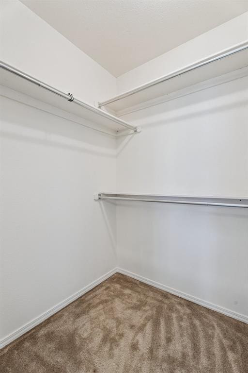 8317 NW 105th St, Oklahoma City, OK 73162 - spacious closet featuring carpet floors