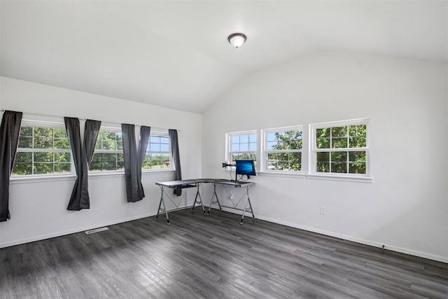 1600 Silver Stone Rd, Blanchard, OK 73010 - unfurnished office featuring vaulted ceiling and dark wood-style floors