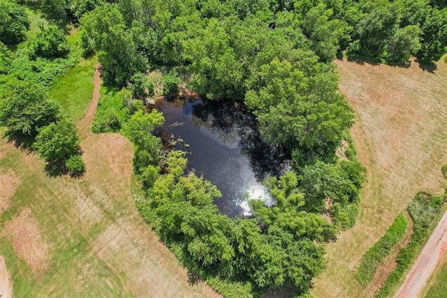 1600 Silver Stone Rd, Blanchard, OK 73010 - bird's eye view of a nearby body of water