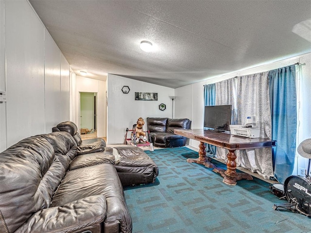 106411 Happy Trails Rd, Mcloud, OK 74851 - carpeted living area featuring a textured ceiling and lofted ceiling