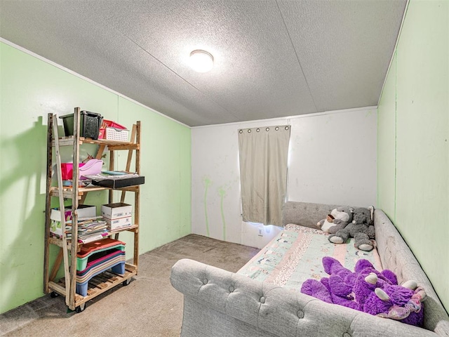 106411 Happy Trails Rd, Mcloud, OK 74851 - carpeted bedroom featuring a textured ceiling