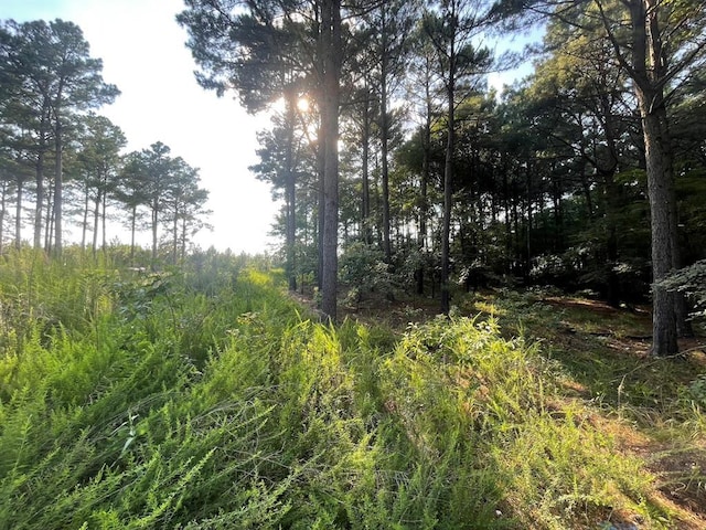 558 Scrub Oak Rd, Broken Bow, OK 74728