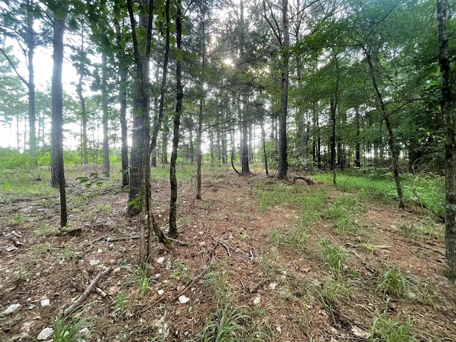 558 Scrub Oak Rd, Broken Bow, OK 74728