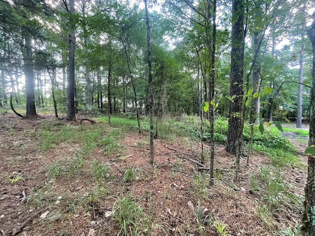 558 Scrub Oak Rd, Broken Bow, OK 74728
