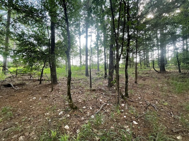 558 Scrub Oak Rd, Broken Bow, OK 74728