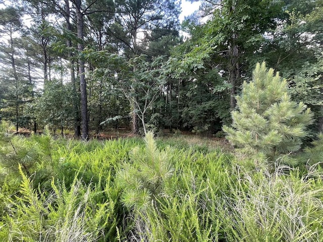 558 Scrub Oak Rd, Broken Bow, OK 74728