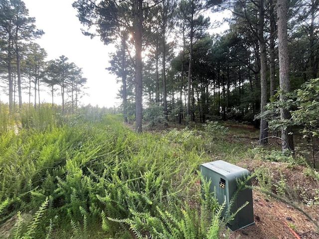 558 Scrub Oak Rd, Broken Bow, OK 74728