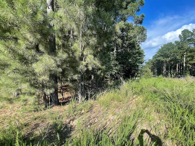 558 Scrub Oak Rd, Broken Bow, OK 74728