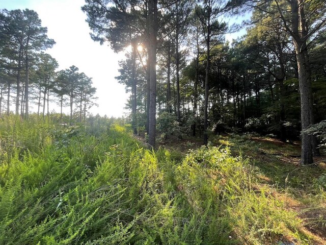 558 Scrub Oak Rd, Broken Bow, OK 74728 - photo 1