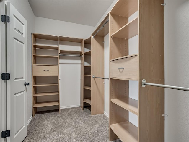 3004 Twin Lake Dr, Moore, OK 73165 - spacious closet featuring carpet flooring