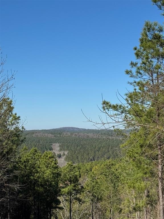 79 Vine Ct, Broken Bow, OK 74728