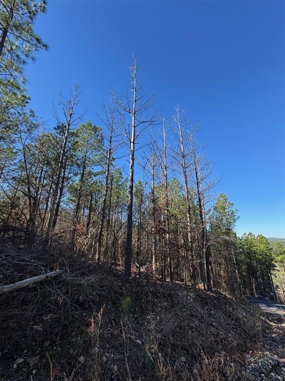 79 Vine Ct, Broken Bow, OK 74728