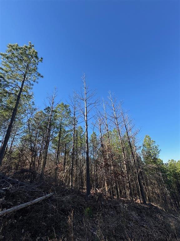 79 Vine Ct, Broken Bow, OK 74728