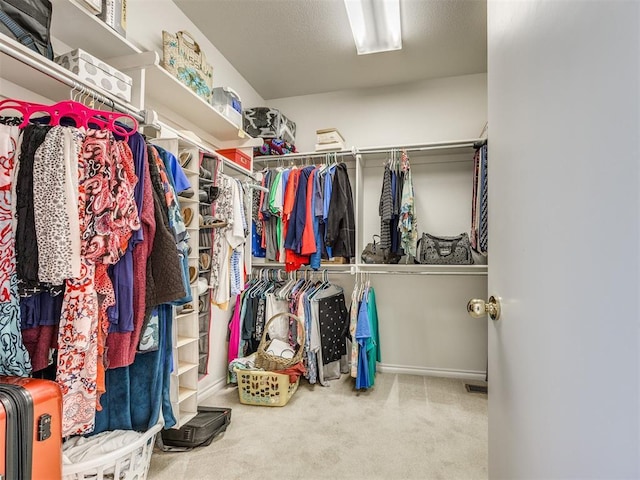1405 Cambridge Ct, Shawnee, OK 74804 - walk in closet featuring carpet floors