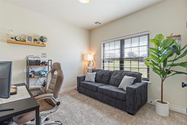 1074 Fawn Meadow Dr, Blanchard, OK 73010 - carpeted office space with baseboards