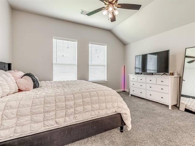 222 Alamosa Rd, Norman, OK 73069 - photo 33