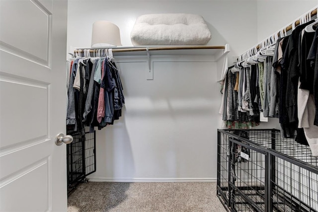 10409 NW 25th St, Yukon, OK 73099 - spacious closet featuring carpet flooring