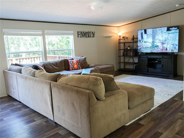 16940 Wildwood Dr, Lexington, OK 73051 - living room with dark wood-style flooring