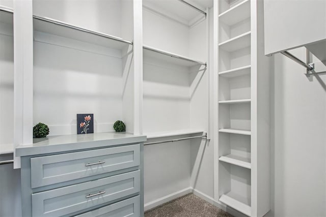 4204 Chesterfield Pl, Oklahoma City, OK 73179 - spacious closet with dark carpet