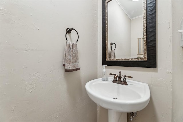 bathroom featuring ornamental molding and a sink
