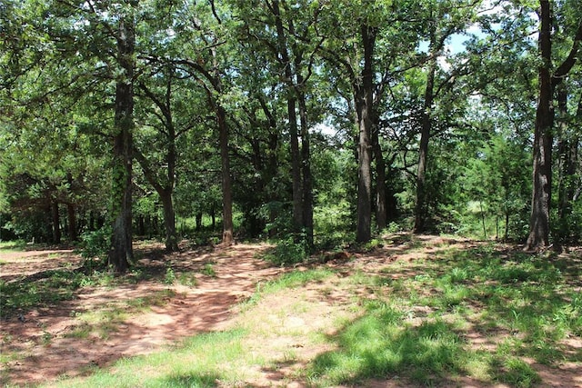 337248 E Pecan Meadows Ln, Wellston, OK 74881 - photo 38