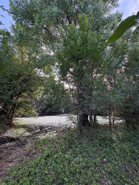 1218 County Road 1230, Tuttle, OK 73089 - view of yard with a forest view