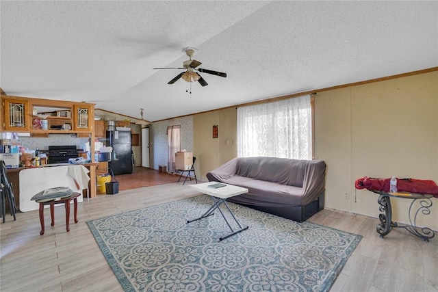 11567 N 1790th Rd, Sayre, OK 73662 - living room featuring vaulted ceiling, a ceiling fan, a textured ceiling, and light wood-style flooring