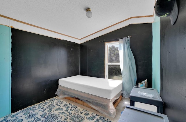 11567 N 1790th Rd, Sayre, OK 73662 - bedroom featuring lofted ceiling and a textured ceiling