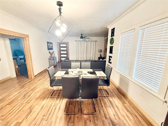 717 E Walnut St, Altus, OK 73521 - dining space with wood finished floors, ceiling fan, and ornamental molding