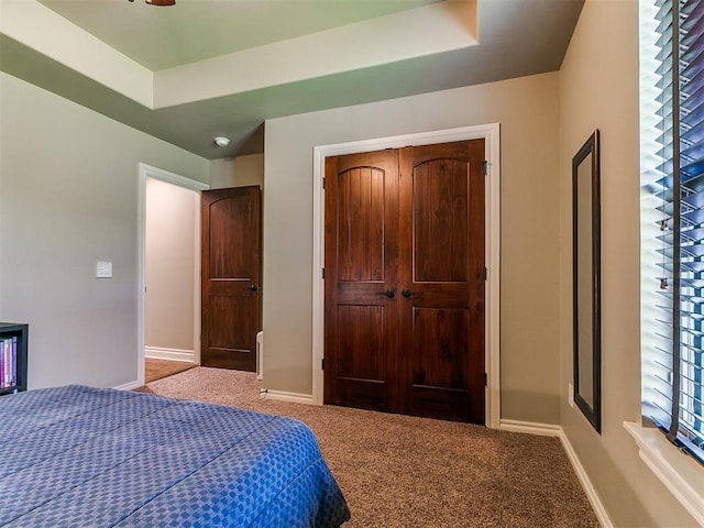 12105 SW 45th Ter, Mustang, OK 73064 - bedroom with carpet and a closet