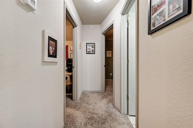 16412 Everglade Ln, Edmond, OK 73013 - photo 23