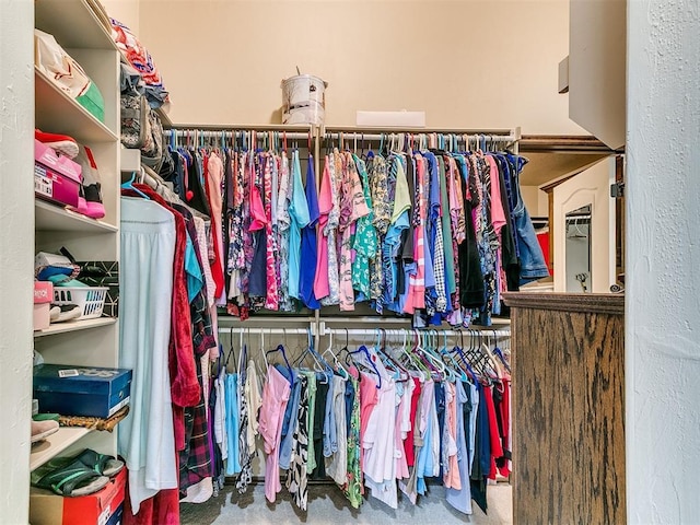 73 Sonata Ln, Shawnee, OK 74804 - view of spacious closet