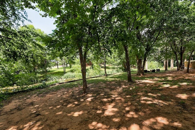 11409 SW 109th St, Mustang, OK 73064 - view of yard
