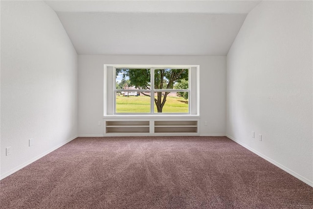 2719 NW 30th St, Newcastle, OK 73065 - unfurnished room featuring vaulted ceiling and carpet