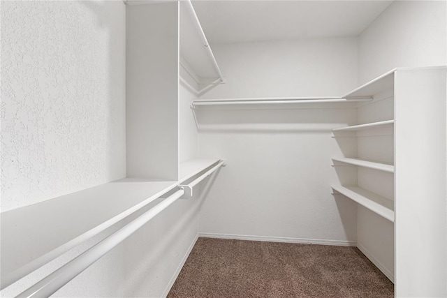 2719 NW 30th St, Newcastle, OK 73065 - spacious closet featuring carpet