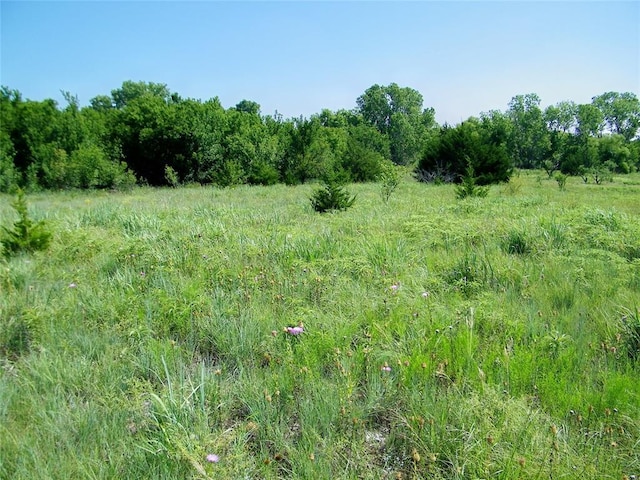 NW Buffalo Dr, Lawton, OK 73505 - photo 5