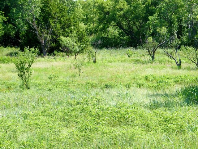 NW Buffalo Dr, Lawton, OK 73505 - photo 19