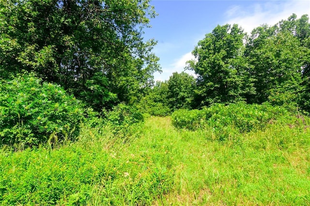 31190 Palomino Rd, Tecumseh, OK 74873 - photo 33