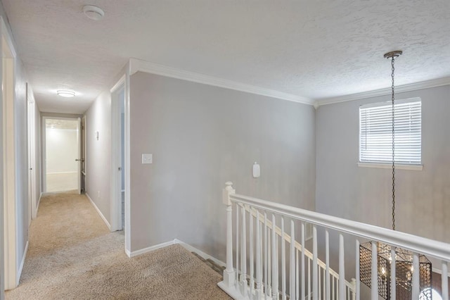 10900 Rock Ridge Rd, Oklahoma City, OK 73120 - hall with carpet, an upstairs landing, ornamental molding, and a textured ceiling