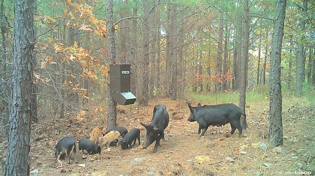 State Highway 144, Nashoba, OK 74558
