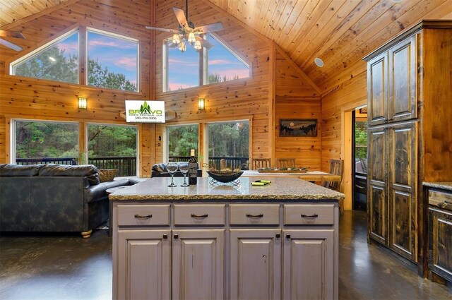 232 Orange Grove Rd, Broken Bow, OK 74728 - kitchen with ceiling fan, wood walls, concrete flooring, healthy amount of natural light, and wood ceiling