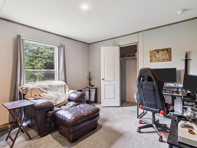 office featuring crown molding and carpet flooring